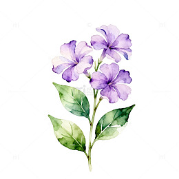 水彩花卉插画设计素材