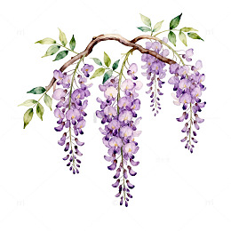 紫色紫藤花插画素材
