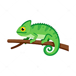 卡通变色龙树枝插画