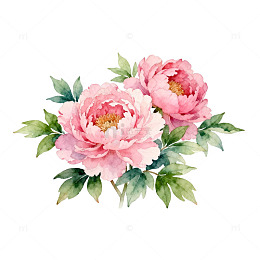 水彩花卉装饰图案设计素材