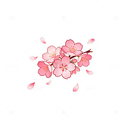 樱花插画