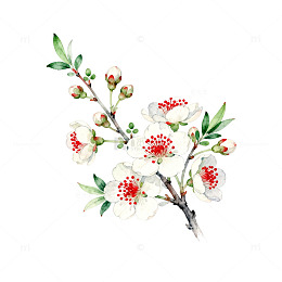 水彩花卉装饰画
