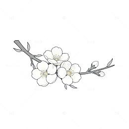 素雅花卉简笔画设计素材