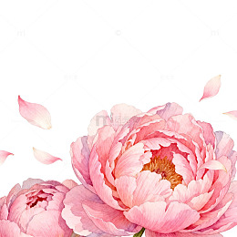 水彩牡丹花卉装饰图案