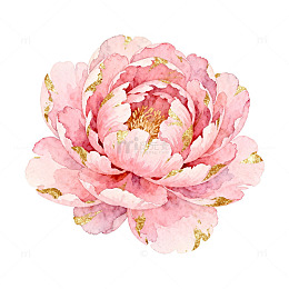 水彩粉色牡丹花卉装饰画