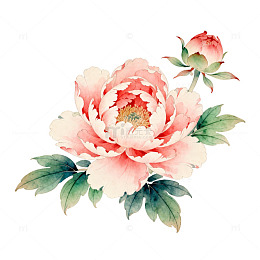 水彩画牡丹花艺术插画