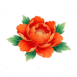 传统中国风牡丹花插画