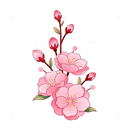 樱花插画装饰图案