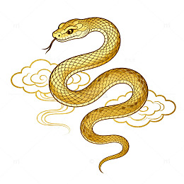 传统黄蛇云纹插画