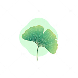 银杏叶淡绿清新自然图片