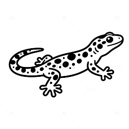 黑白简笔画蜥蜴插图
