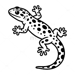 黑白简约蜥蜴插画素材