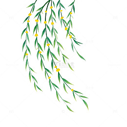 简约柳叶黄花朵插画