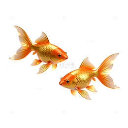 金鱼的梦幻游动