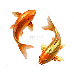 金鱼图样艺术插画