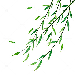水墨柳枝插画素材