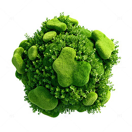 球形绿色植物景观模型