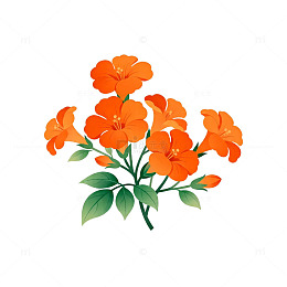 插画风橙色花朵设计素材