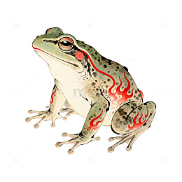 水彩青蛙插画艺术作品