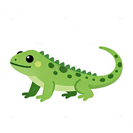 卡通风格绿色蜥蜴插画素材
