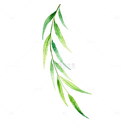 清新柳叶水彩画