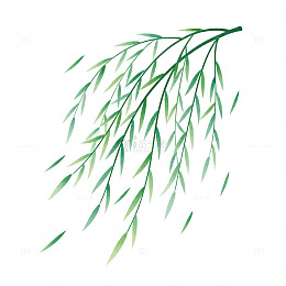 柳枝水墨画设计元素