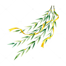 清新柳枝插画素材