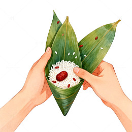 粽子手绘插画设计素材