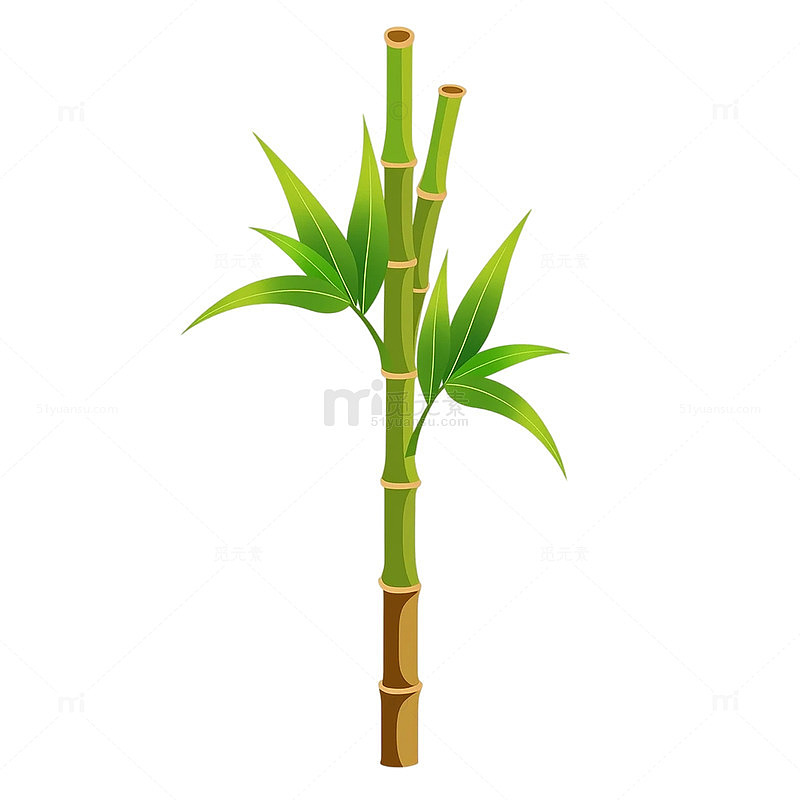 笋芽破土而出的生命律动