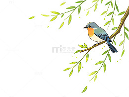 清新小鸟树枝插画