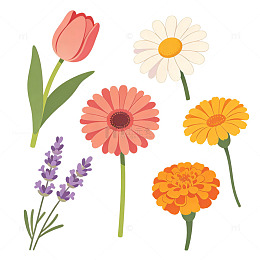 花卉植物卡通扁平风简约元素