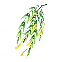清新柳枝插画素材
