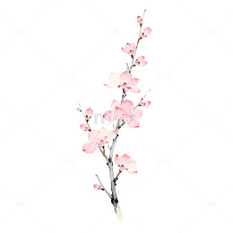 水彩樱花盛开插画素材