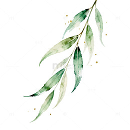 水彩绿叶植物装饰画