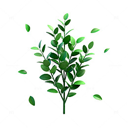 3D渲染绿叶植物设计素材