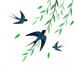 燕子春天柳枝插画