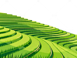 梯田风光绿色景观插画设计素材