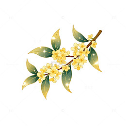 古风桂花插画装饰图案