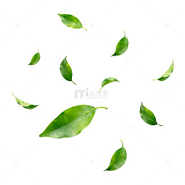 绿叶片片飘散