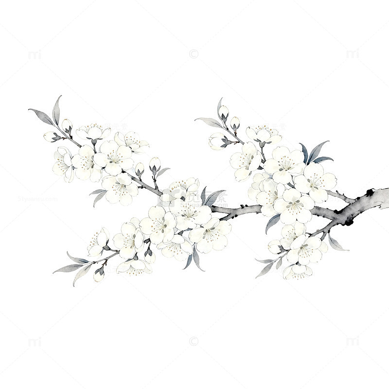 水墨画风格梅花插画设计素材