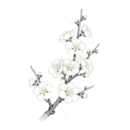 水墨梅花枝条装饰画