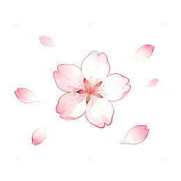 樱花粉色浪漫插画