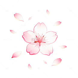 樱花唯美春季插画素材