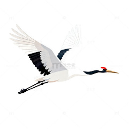 鹤舞飞翔插画风格图像