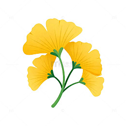 简约风黄花植物插画设计素材