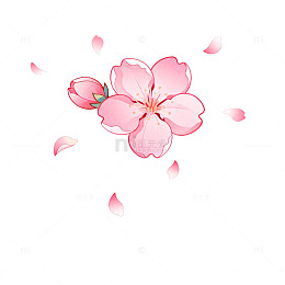 樱花插画设计素材