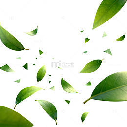 绿色叶子飘落动态效果