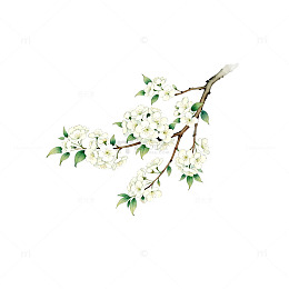 淡雅水墨梨花装饰画