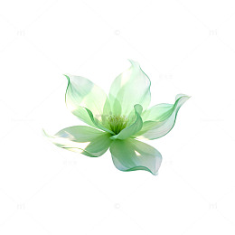 淡雅荷花水印图案