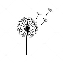 黑白风蒲公英插画矢量素材